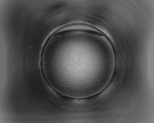 X0000095130799200712141155