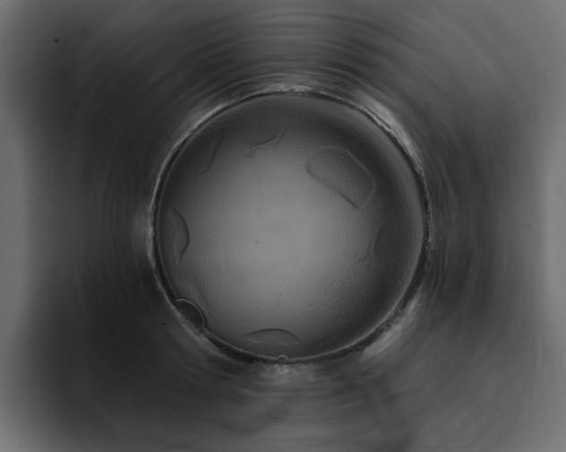 X0000095130802200712141155