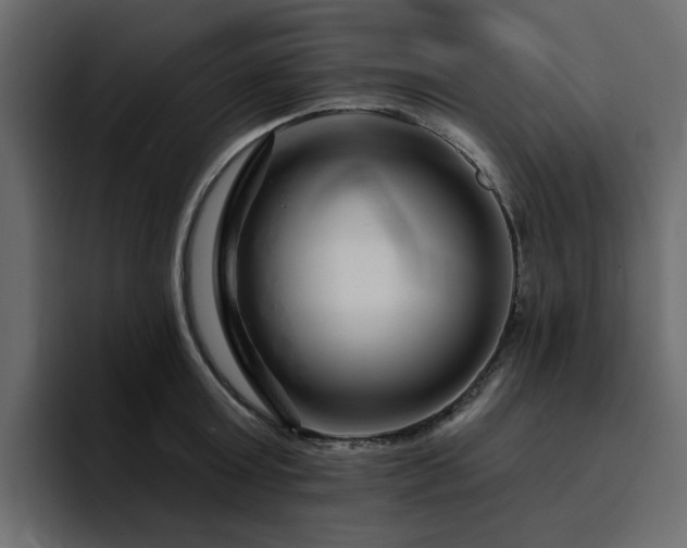 X0000095130803200712141155