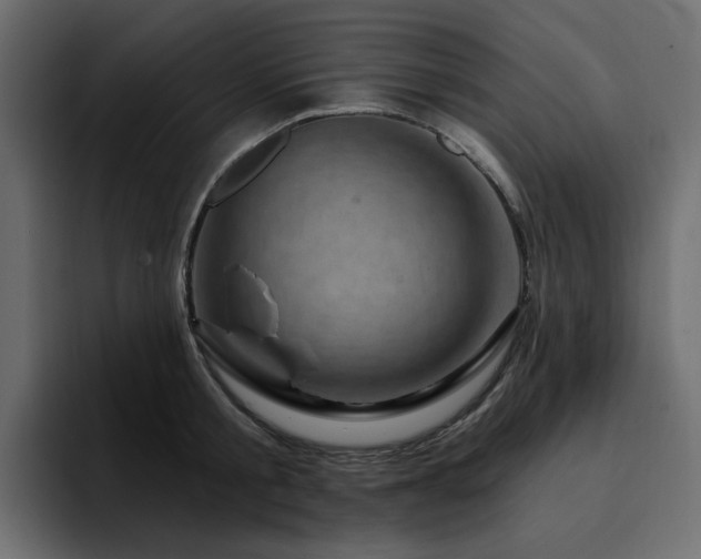 X0000095130805200712141155