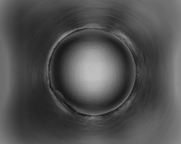 X0000095130808200712141155