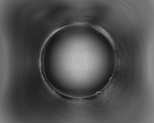 X0000095130811200712141155