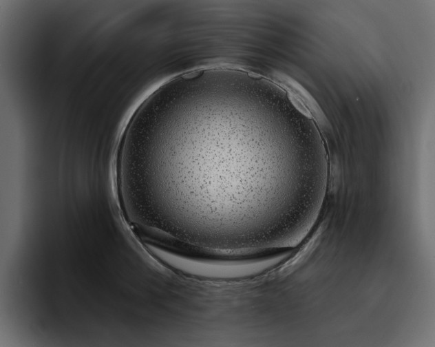 X0000095130812200712141155