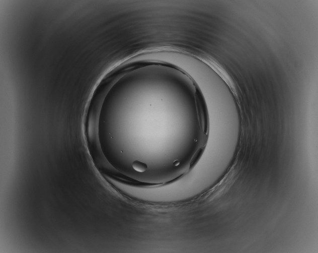 X0000095130813200712141155