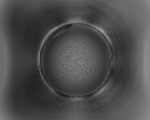 X0000095130815200712141155