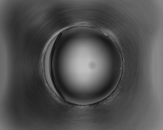 X0000095130816200712141155