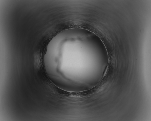 X0000095130818200712141154