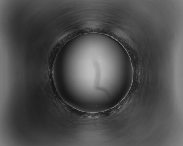 X0000095130822200712141154