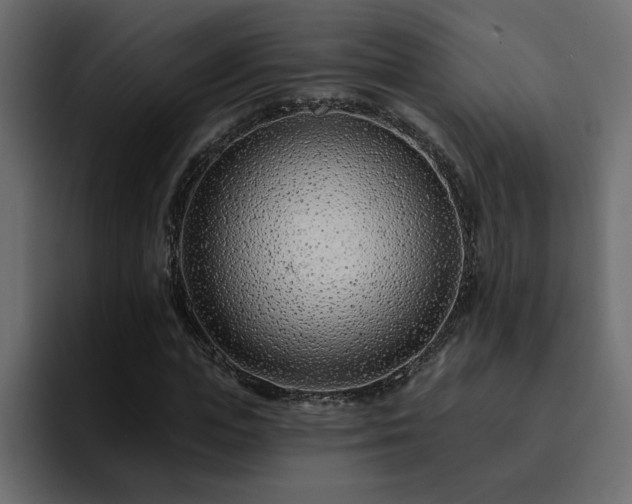 X0000095130823200712141154