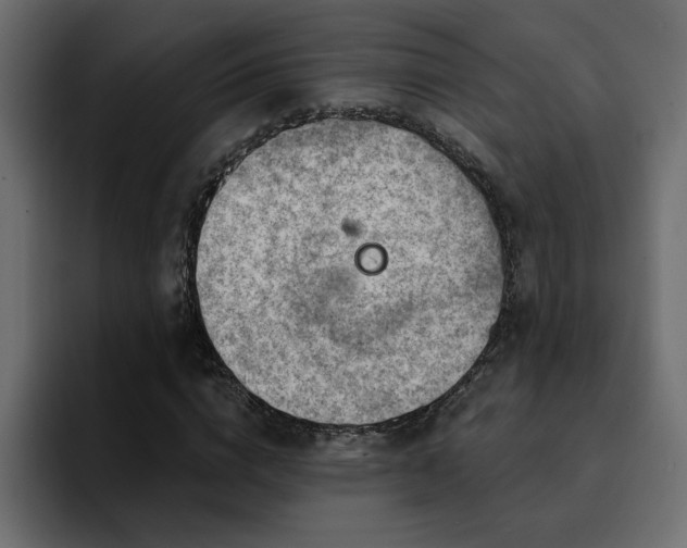 X0000095130824200712141154