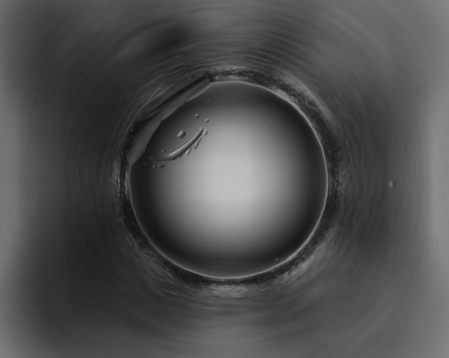 X0000095130825200712141154