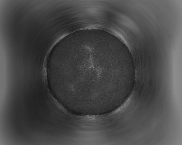 X0000095130827200712141154