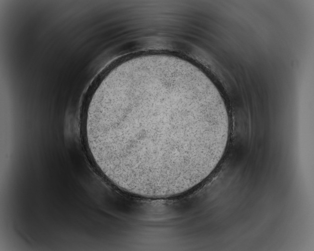 X0000095130828200712141155