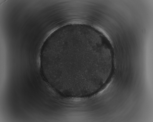 X0000095130829200712141155