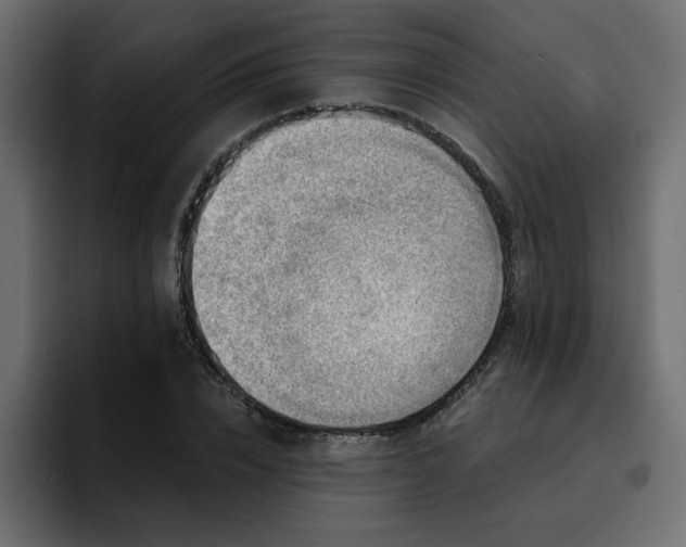 X0000095130832200712141155