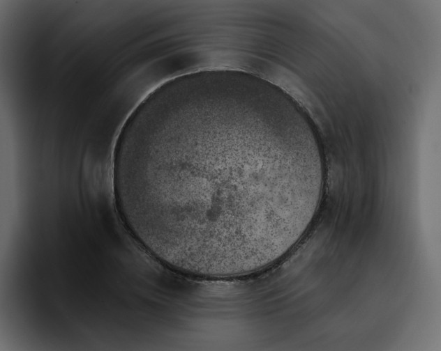 X0000095130836200712141155