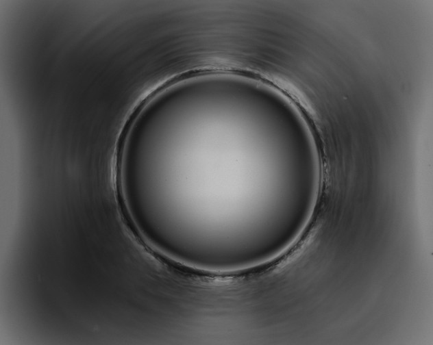 X0000095130839200712141155