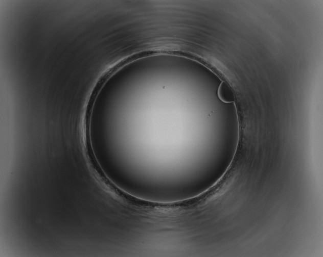 X0000095130840200712141155