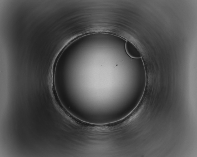 X0000095130844200712141155