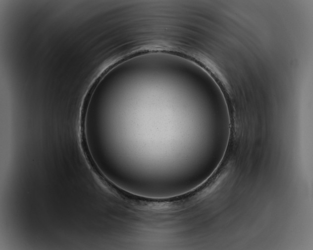 X0000095130845200712141155