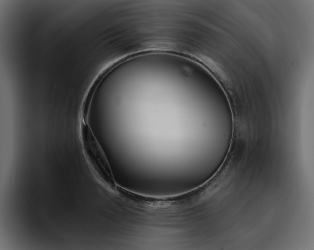 X0000095130846200712141155