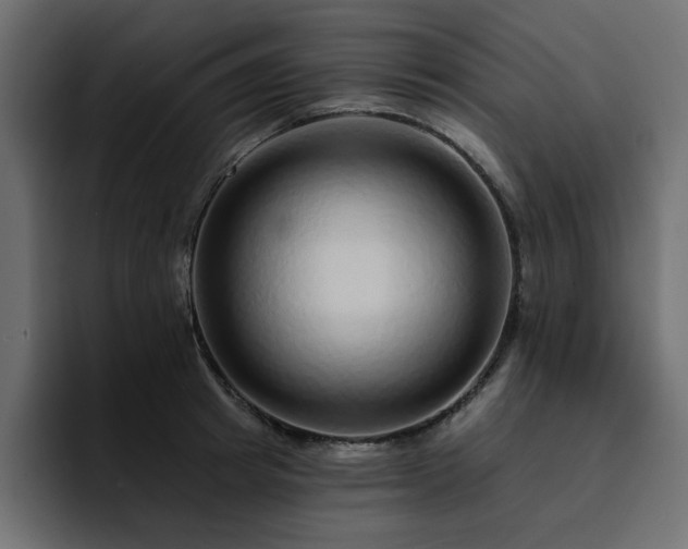 X0000095130849200712141155