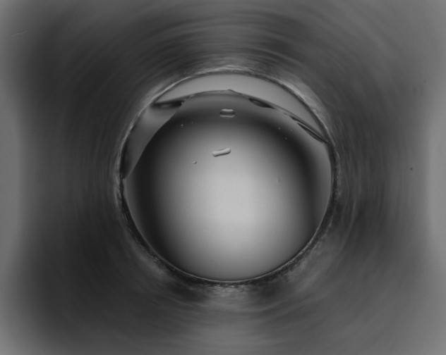 X0000095130850200712141155