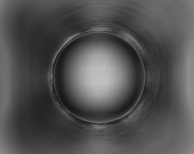 X0000095130852200712141155