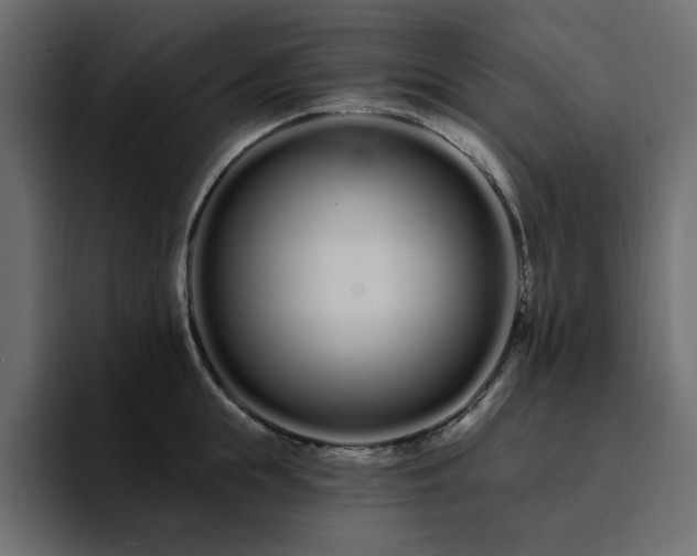 X0000095130855200712141155