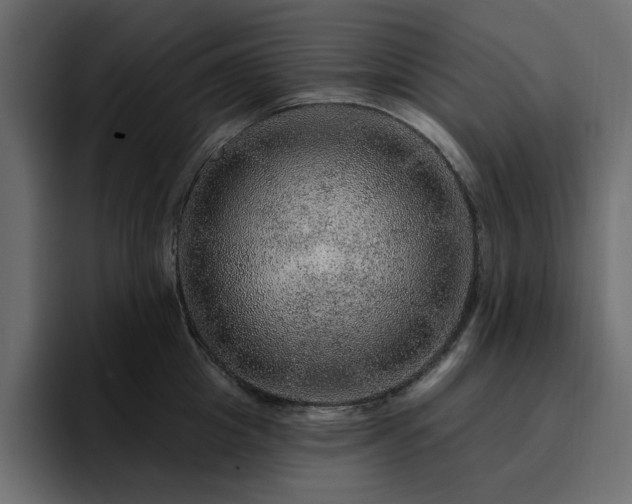 X0000095130857200712141155