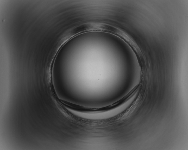 X0000095130858200712141155