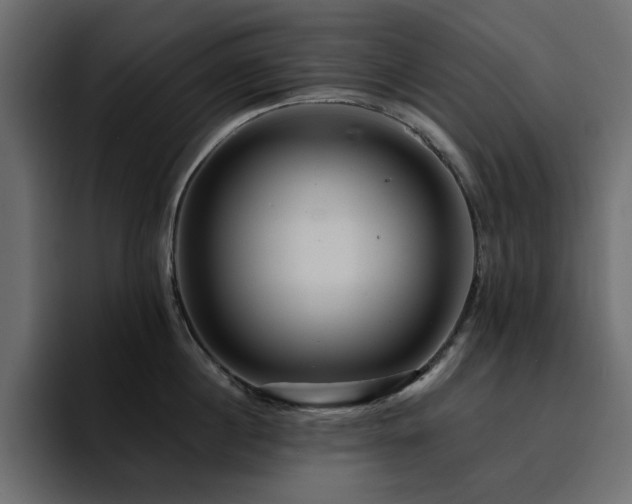 X0000095130860200712141155