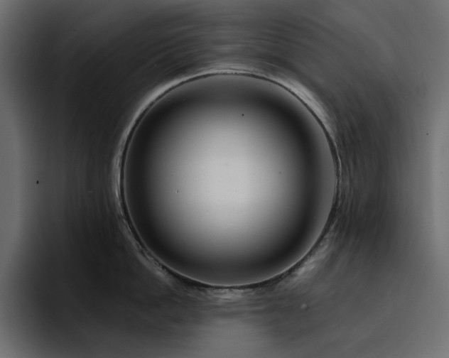 X0000095130862200712141155