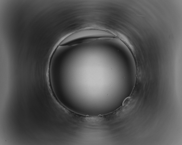 X0000095130863200712141155