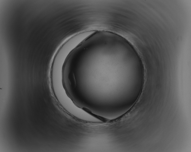 X0000095130864200712141155