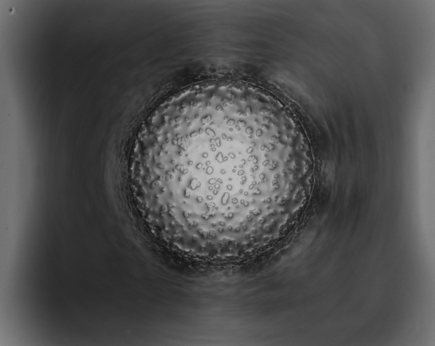 X0000095130865200712141154