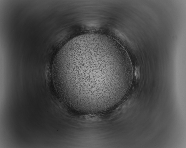 X0000095130867200712141154