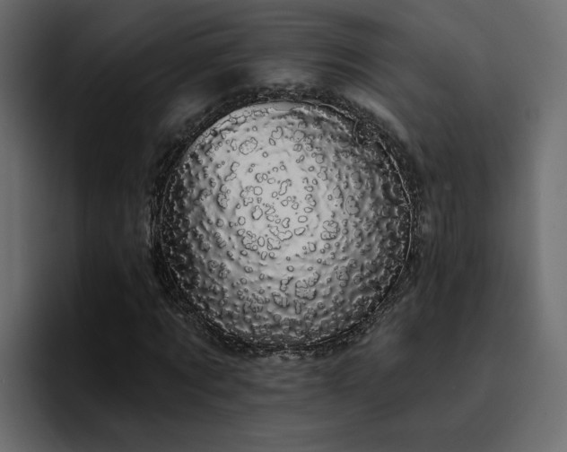 X0000095130869200712141154