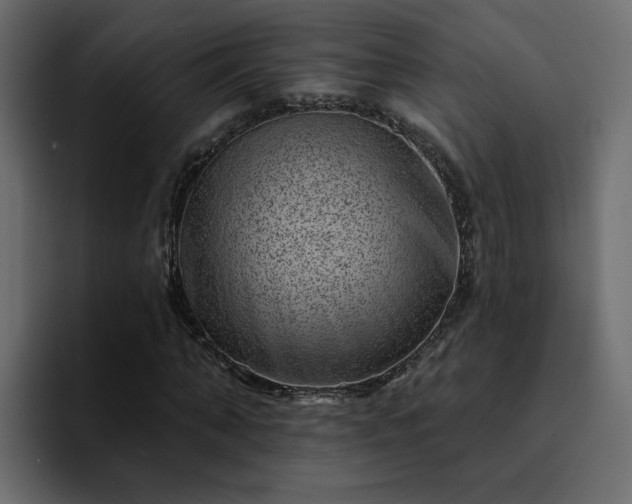 X0000095130870200712141154