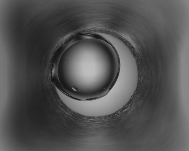 X0000095130872200712141154