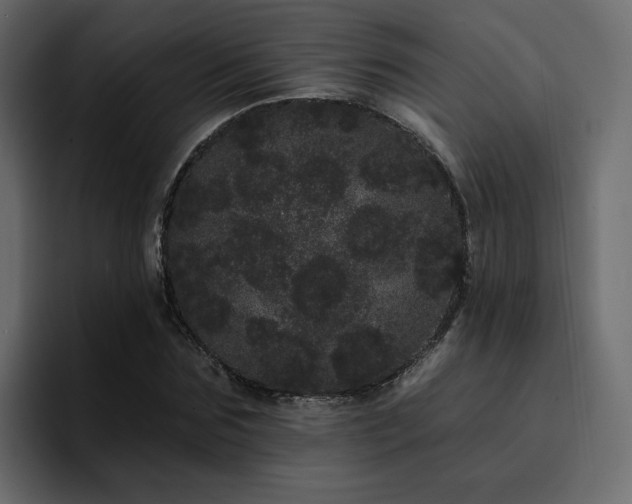 X0000095130875200712141154