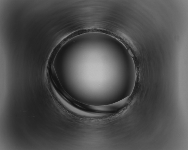 X0000095130876200712141154