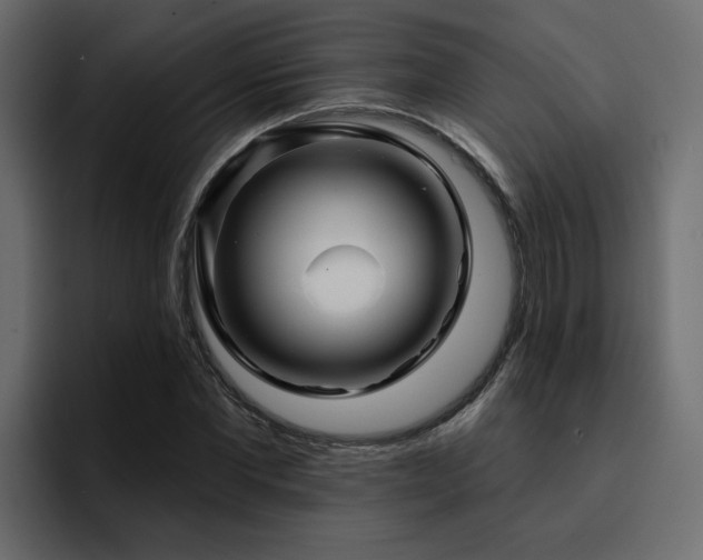 X0000095130877200712141154