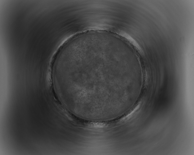 X0000095130878200712141154