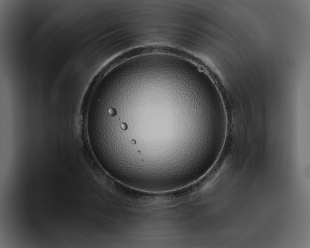 X0000095130879200712141154