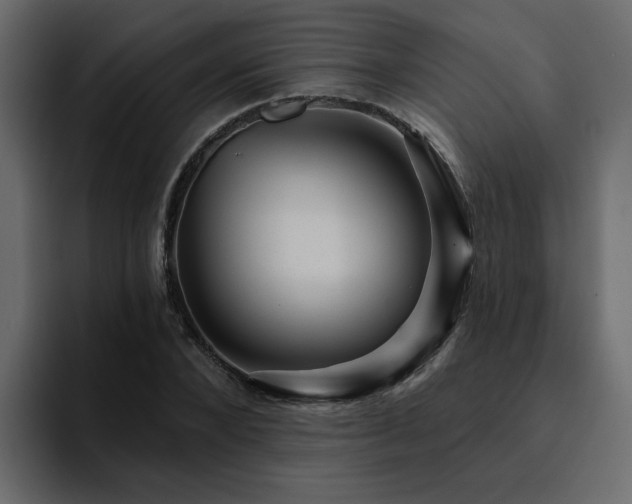 X0000095130880200712141154