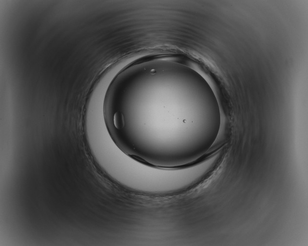 X0000095130881200712141154