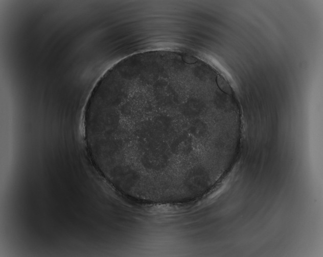 X0000095130883200712141154