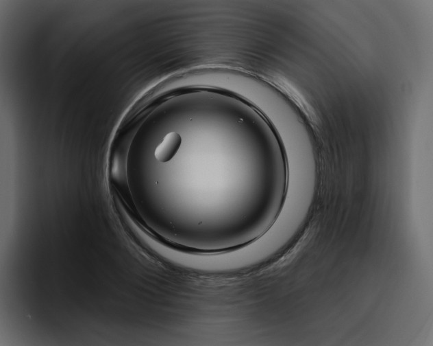 X0000095130884200712141154