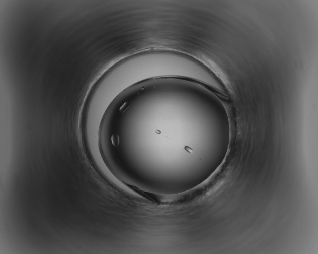 X0000095130885200712141154